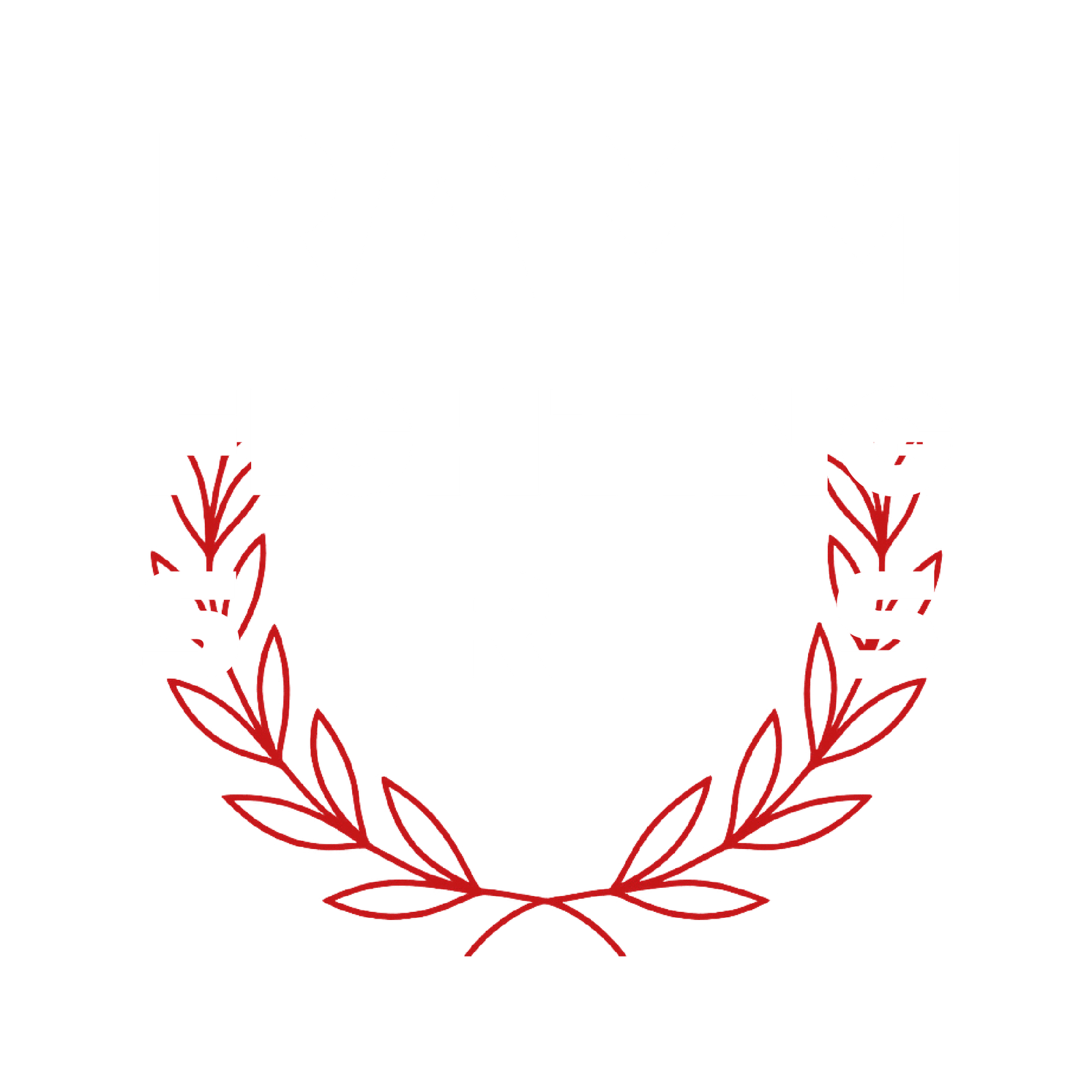 RAMM Fighting Series